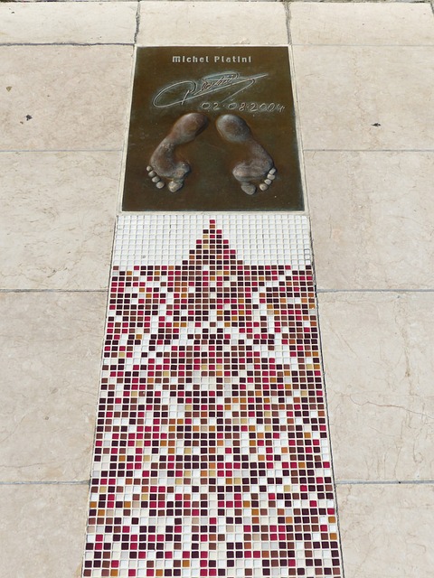 步棋