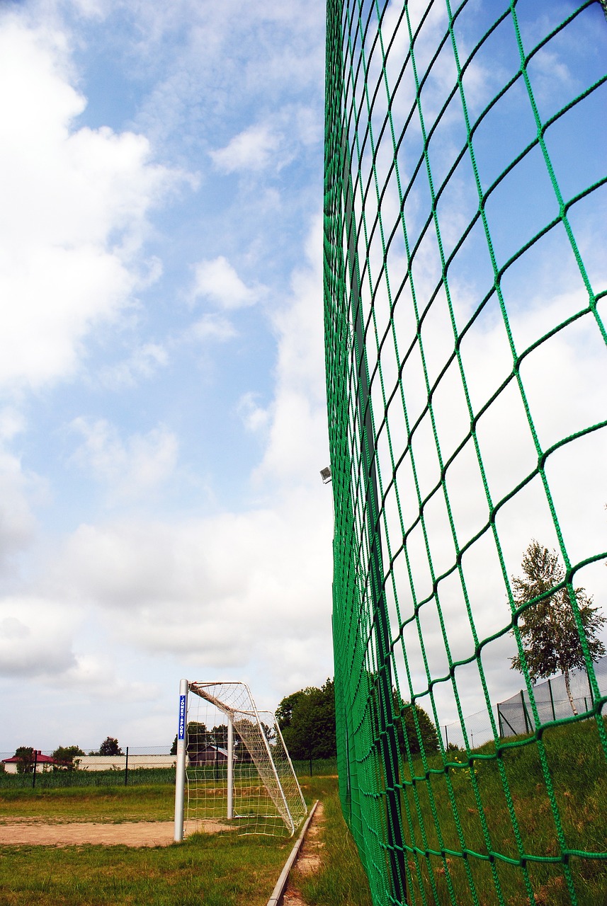 不言而喻 不言而喻