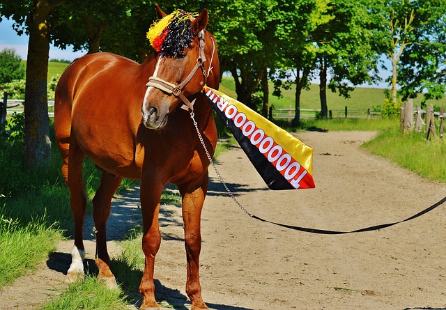 使得娱乐圈 使得娱乐圈